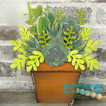 obd_interchangeable_succulent_flowers_wm.jpg