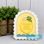 sweet_and_juicy_small_boho_arch_insert_wm.jpg